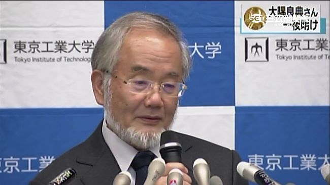 解析細胞自噬　日教授獲諾貝爾醫學獎