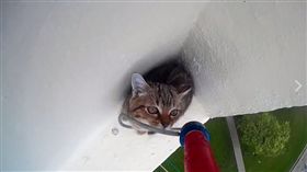 救援受困貓咪。（圖翻攝自SPCA Singapore臉書）