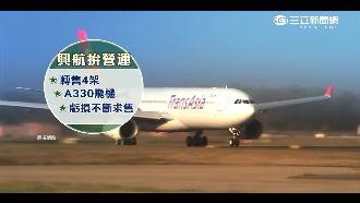 興航推新航線　力拚明年Q1損益兩平