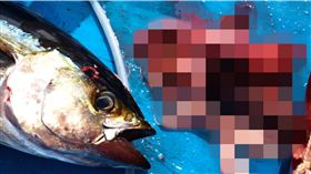 在魚肚中發現人體陰莖睪丸。(圖/翻自每日星報)