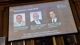 諾貝爾化學獎_路透