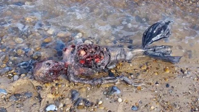 英國海岸驚見美人魚屍骸　引發熱議