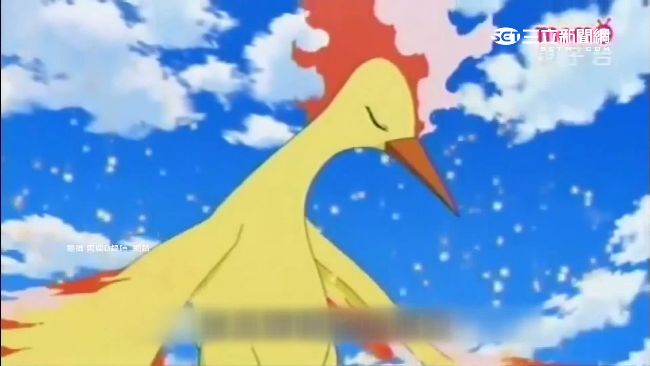 神鳥叫聲太直白！寶可夢中配笑翻網友