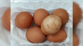 白雞蛋裝土雞蛋？傳統市場驚見染色蛋