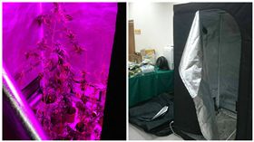 毒品,租屋,美國,大麻,合法
圖／翻攝畫面