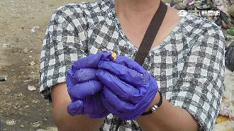 錯把兒婚戒丟了！婦翻12噸垃圾苦尋