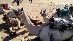 旅遊地雷區g1800