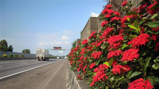 連假返鄉怕塞車？　這些路段請避開