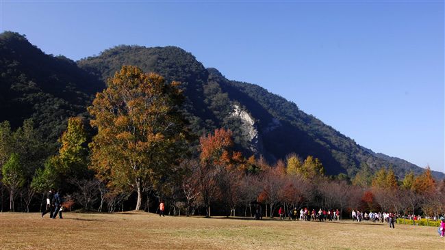 雙十連假踏青　國慶日半價優惠