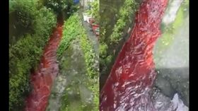血,血流成河 圖/翻攝自爆料公社