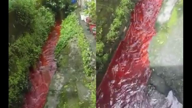 影／宜蘭礁溪疑遭排廢水「血流成河」