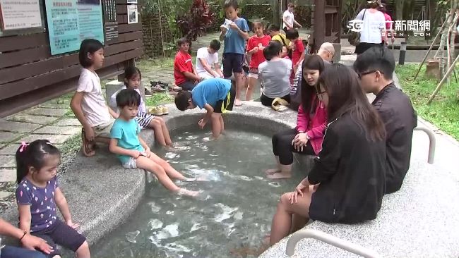 溫泉魚咬腳傳染愛滋？疾管署打臉說法