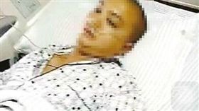 直播捅黃蜂巢 圖／翻攝自微博