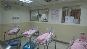 北市喜迎1男2女國慶寶寶（圖／中央社）