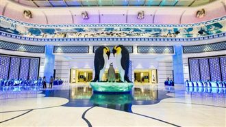 可愛度爆表的企鵝極地特色主題酒店