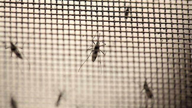 台婦人遊大馬疑染茲卡　10人待篩檢