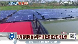 太陽能回溫　茂迪張秉恆樂觀看待