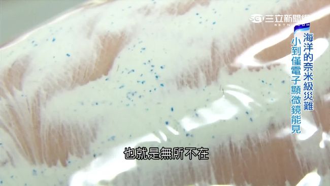 「加味」海鮮啤酒　塑膠微粒全面入侵