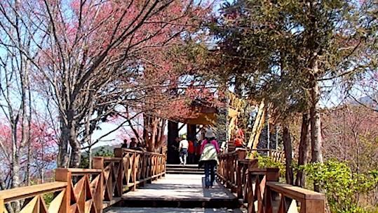 高雄藤枝國家森林遊樂區　年底將重啟