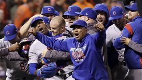 小熊晉級國聯冠軍戰（圖／美聯社／達志影像）