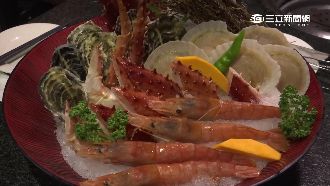 龍蝦不夠看！台中業者推帝王蟹吃到飽