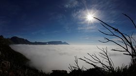 台南山上,迎新茶會,學長學妹
圖/翻攝自路透社
