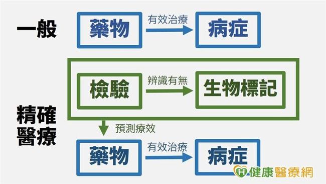 「精準醫療」是治療癌症的萬靈丹嗎？