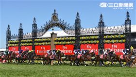 墨爾本盃賽馬嘉年華。（圖／澳洲維多利亞旅遊局提供）