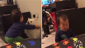 Bubz的兒子被狗狗拒絕後傷心跪地。（圖／翻攝自Instagram）