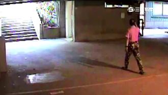 扮教授潛校園偷竊　賊因迷彩褲被逮