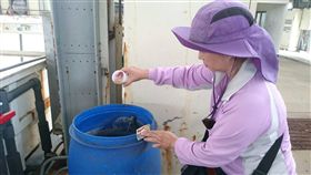 病媒蚊,登革熱,檢測
圖／中央社