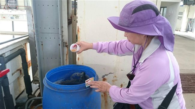 颱風過後　高市28里病媒蚊指數超標