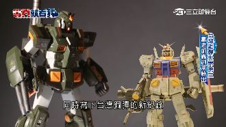 世界第三！台鋼彈受肯定　紀錄無人破