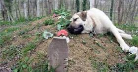 翻攝自／HeroViral