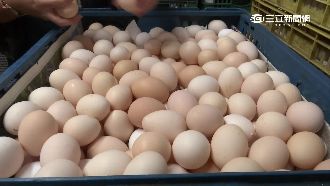 紅蛋未必好！營養師：營養價值差不多