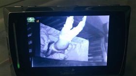 美嬰兒倒立睡覺。(圖/翻攝自推特)-https://twitter.com/MikaelaLong?ref_src=twsrc%5Etfw