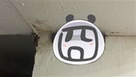 房間太潮濕竟然長出木耳／PTT女版