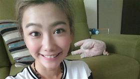 邵庭(圖/邵庭臉書)