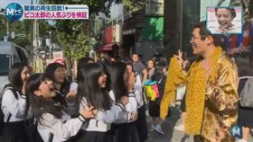 PICO太郎,PPAP,圖／哈日劇臉書