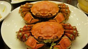 大閘蟹,Bill So,https://www.flickr.com/photos/billibala/290379229/in/photolist-rEgCr-3iVzzj-5o5ski-5o5xLk-dyAfNR-3J55je-5R1CG-3nbpLU-7cQLfU-2UPsha-5o5aL8-8FM3Jd-49sAJt-3e8YJi-8KJSsY-duTdCS-3J58Er-5GUz3-3e8VE8-8SZHUd-8SZHxG-dnT299-8FM9S9-8KJNs3-3e8UKz-8FJ1Cr-3J4G1g-3J8VH3-dos514-3J4hfH-doschG-3e8XCr-3edkEq-8FM6o7-3J8PaJ-djunUy-7cLRAM-dosccG-3iVzKQ-5QYQu-doscBq-48viU3-dos5rD-dos5CP-doscuN-4E5emi-4aaLi-4fwpDq-doscpy-4aaLo,