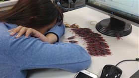 Dcard,上課,睡覺,大學生,蟑螂,假玩具,處罰,懲罰(https://www.dcard.tw/f/funny/p/224974231?utm_source=dcard_fb&utm_medium=post&utm_content=201610160200_fbpost_funny)