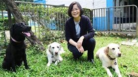 蔡英文,導盲犬　翻攝蔡英文 Tsai Ing-wen臉書