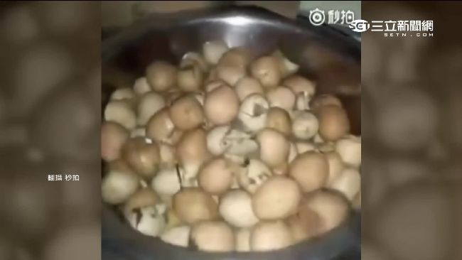 拿爛肉當營養午餐！明星私校驚爆醜聞