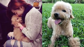 Selina,pinky,https://www.facebook.com/himselina/