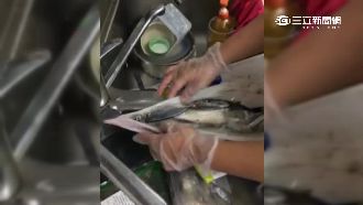 影／買到賺到？一隻透抽肚藏八條魚