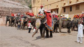 騎大象（圖／Pixabay）