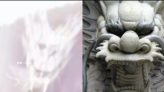 陸男遊龍脊梯田　竟捕捉猙獰「龍頭」