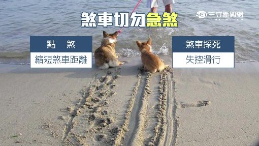 氣囊爆害鎖煞車係假 「點煞」成保命要訣