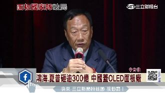 鴻海夏普砸3百億　蓋OLED面板廠