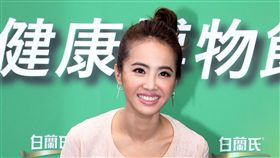 蔡依林出席戶外雞精活動，大風吹裙飛揚，差點穿幫。（記者邱榮吉/攝影）